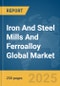 Iron And Steel Mills And Ferroalloy Global Market Report 2025 - Product Image
