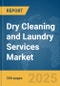 Dry Cleaning and Laundry Services Market Report 2025 - Product Thumbnail Image