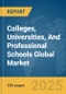 Colleges, Universities, And Professional Schools Global Market Report 2025 - Product Thumbnail Image