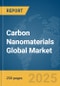 Carbon Nanomaterials Global Market Report 2025 - Product Thumbnail Image