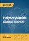 Polyacrylamide Global Market Report 2024 - Product Image