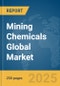 Mining Chemicals Global Market Report 2025 - Product Image