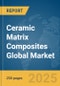 Ceramic Matrix Composites Global Market Report 2025 - Product Thumbnail Image