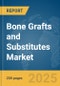 Bone Grafts and Substitutes Market Report 2025 - Product Image