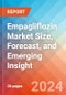 Empagliflozin Market Size, Forecast, and Emerging Insight - 2032 - Product Image