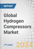 Global Hydrogen Compressors Market by Lubrication Type (Oil-based, Oil-free), Type (Mechanical, Non-mechanical), Application (Hydrogen Infrastructure, Industrial (Oil Refining, Chemicals & Petrochemicals), Design Region - Forecast to 2028- Product Image