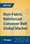 Non-Fabric Reinforced Conveyer Belt Global Market Insights 2024, Analysis and Forecast to 2029, by Manufacturers, Regions, Technology, Product Type - Product Image