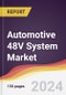 Automotive 48V System Market Report: Trends, Forecast and Competitive Analysis to 2030 - Product Thumbnail Image