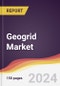 Geogrid Market Report: Trends, Forecast and Competitive Analysis to 2030 - Product Image