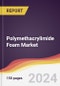 Polymethacrylimide Foam Market Report: Trends, Forecast and Competitive Analysis to 2030 - Product Image