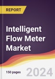 Intelligent Flow Meter Market Report: Trends, Forecast and Competitive Analysis to 2030- Product Image