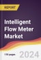 Intelligent Flow Meter Market Report: Trends, Forecast and Competitive Analysis to 2030 - Product Thumbnail Image