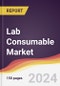Lab Consumable Market Report: Trends, Forecast and Competitive Analysis to 2030 - Product Image