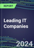 2024 Leading IT Companies: Capabilities, Goals and Strategies- Product Image