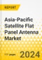Asia-Pacific Satellite Flat Panel Antenna Market: Analysis and Forecast, 2023-2033 - Product Image