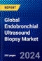 Global Endobronchial Ultrasound Biopsy Market (2023-2028) Competitive Analysis, Impact of Economic Slowdown & Impending Recession, Ansoff Analysis - Product Image