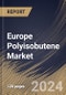 Europe Polyisobutene Market Size, Share & Trends Analysis Report By Molecular Weight Type, By Application (Lubricant Additives, Adhesives & Sealants, Automotive Rubber Components, Fuel Additives, and Others), By Country and Growth Forecast, 2023 - 2030 - Product Image