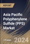 Asia Pacific Polyphenylene Sulfide (PPS) Market Size, Share & Trends Analysis Report By Type, By Application (Automotive, Electrical & Electronics, Industrial, Aerospace, Medical/Healthcare, and Others), By Country and Growth Forecast, 2023 - 2030 - Product Image
