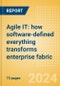 Agile IT: how software-defined everything (SDx) transforms enterprise fabric - Product Image