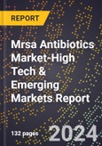 2024 Global Forecast for Mrsa Antibiotics Market (2025-2030 Outlook)-High Tech & Emerging Markets Report- Product Image