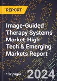 2024 Global Forecast for Image-Guided Therapy Systems Market (2025-2030 Outlook)-High Tech & Emerging Markets Report- Product Image