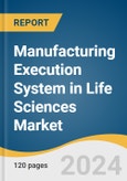 Manufacturing Execution System in Life Sciences Market Size, Share & Trends Analysis Report By Solution Type, By Deployment (On-Premise, Cloud/Web-Based, Hybrid), By End-User, By Region, And Segment Forecasts, 2024 - 2030- Product Image