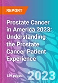 Prostate Cancer in America 2023: Understanding the Prostate Cancer Patient Experience- Product Image