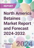 North America Betaines Market Report and Forecast 2024-2032- Product Image