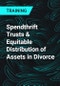 Spendthrift Trusts & Equitable Distribution of Assets in Divorce - Product Thumbnail Image