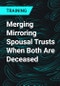 Merging Mirroring Spousal Trusts When Both Are Deceased - Product Thumbnail Image