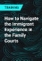 How to Navigate the Immigrant Experience in the Family Courts - Product Thumbnail Image