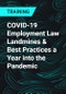 COVID-19 Employment Law Landmines & Best Practices a Year into the Pandemic - Product Thumbnail Image