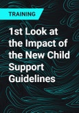 1st Look at the Impact of the New Child Support Guidelines- Product Image