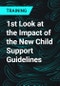 1st Look at the Impact of the New Child Support Guidelines - Product Thumbnail Image