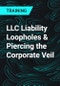 LLC Liability Loopholes & Piercing the Corporate Veil - Product Thumbnail Image