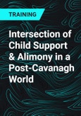 Intersection of Child Support & Alimony in a Post-Cavanagh World- Product Image