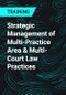 Strategic Management of Multi-Practice Area & Multi-Court Law Practices - Product Thumbnail Image