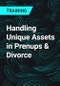 Handling Unique Assets in Prenups & Divorce - Product Thumbnail Image