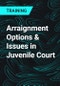 Arraignment Options & Issues in Juvenile Court - Product Thumbnail Image