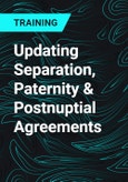 Updating Separation, Paternity & Postnuptial Agreements- Product Image