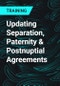 Updating Separation, Paternity & Postnuptial Agreements - Product Thumbnail Image