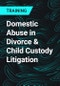Domestic Abuse in Divorce & Child Custody Litigation - Product Thumbnail Image