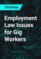 Employment Law Issues for Gig Workers - Product Thumbnail Image