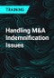 Handling M&A Indemnification Issues - Product Thumbnail Image