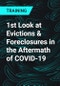 1st Look at Evictions & Foreclosures in the Aftermath of COVID-19 - Product Thumbnail Image