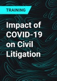 Impact of COVID-19 on Civil Litigation- Product Image