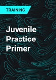 Juvenile Practice Primer- Product Image