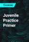 Juvenile Practice Primer - Product Thumbnail Image