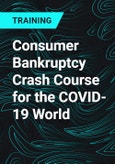 Consumer Bankruptcy Crash Course for the COVID-19 World- Product Image