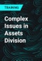 Complex Issues in Assets Division - Product Thumbnail Image